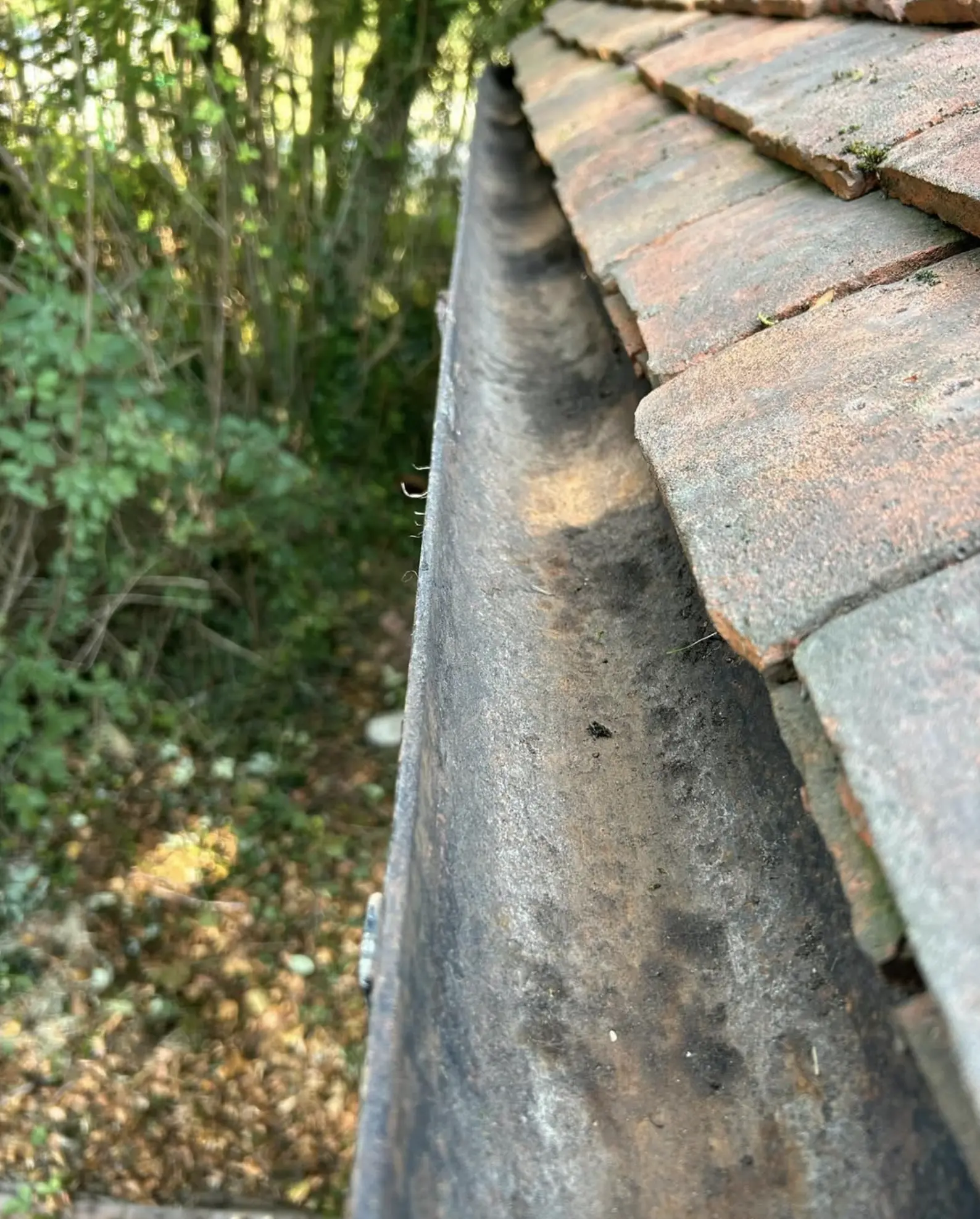 Gutter Cleaning Melbourne.webp