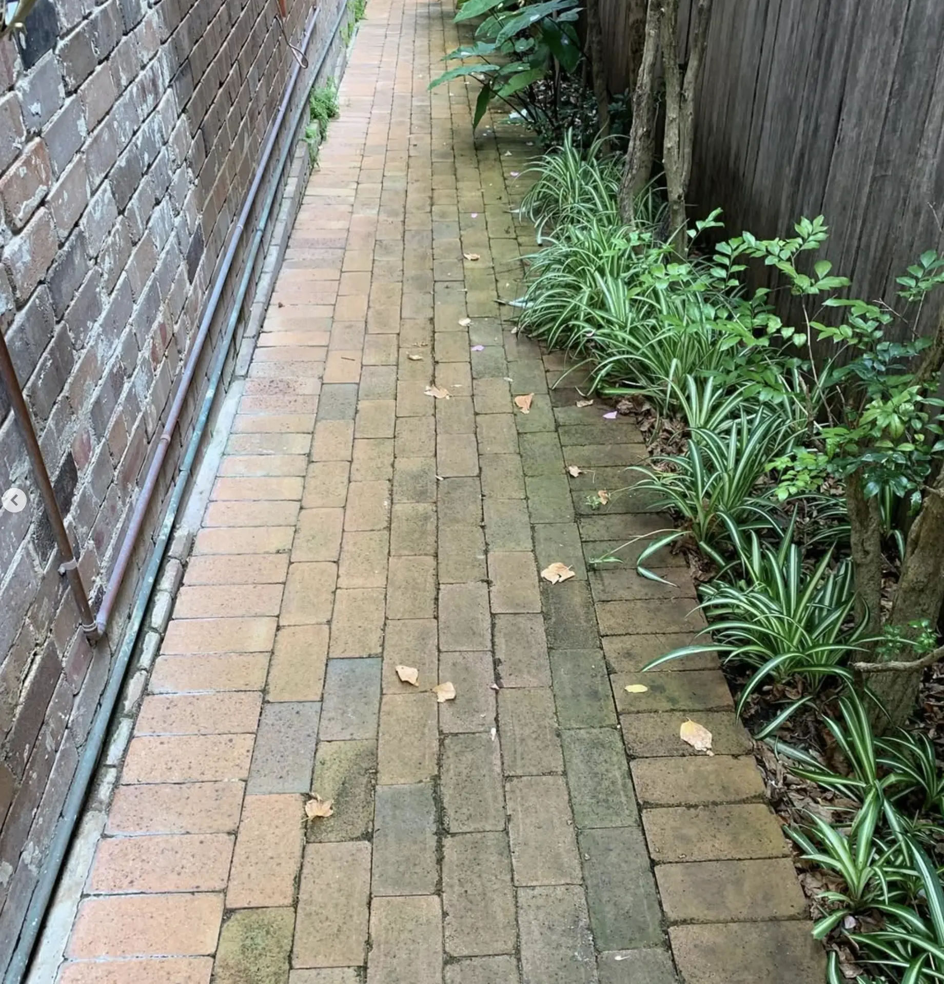 pavement cleaning