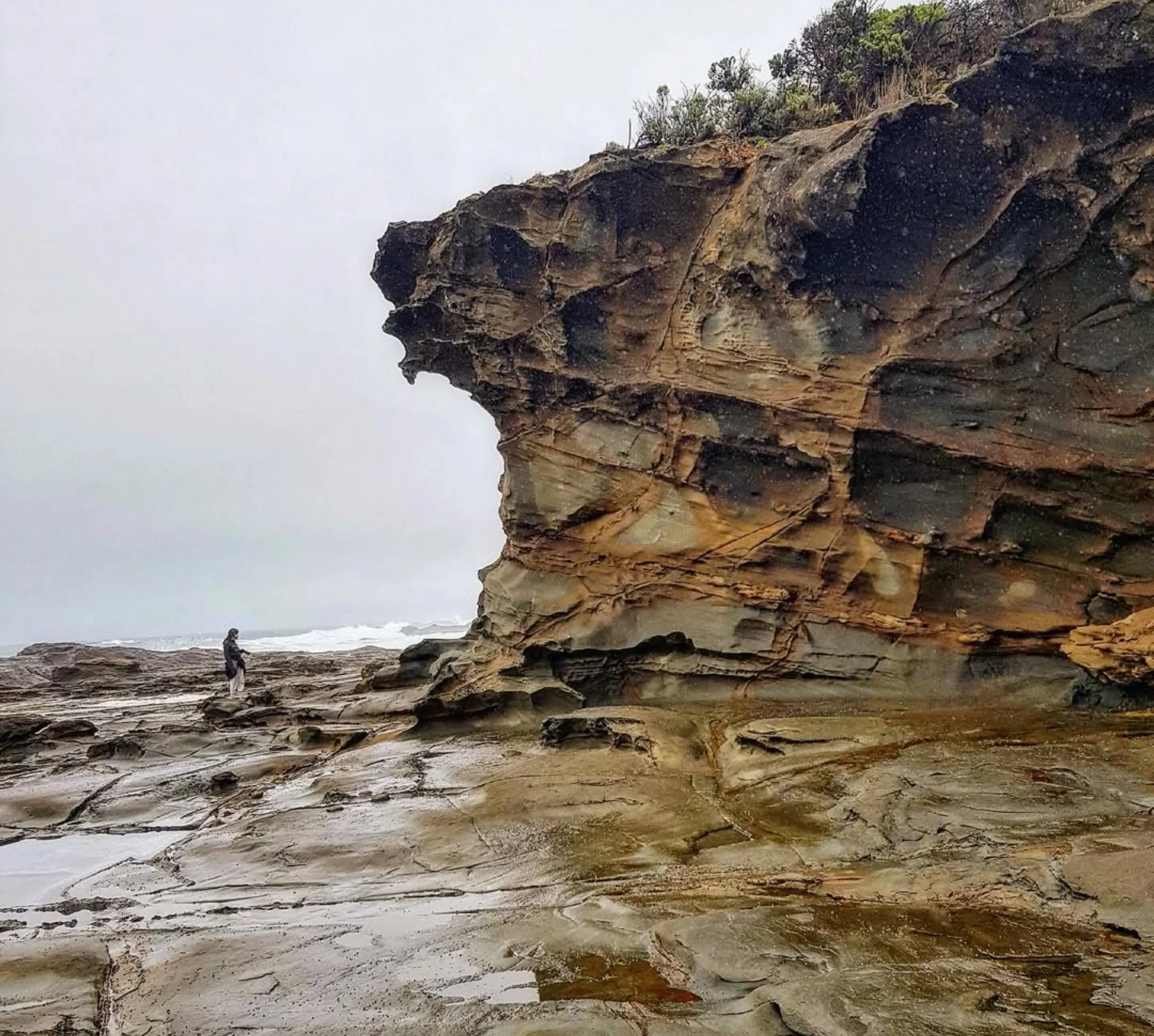 coastal rock formations