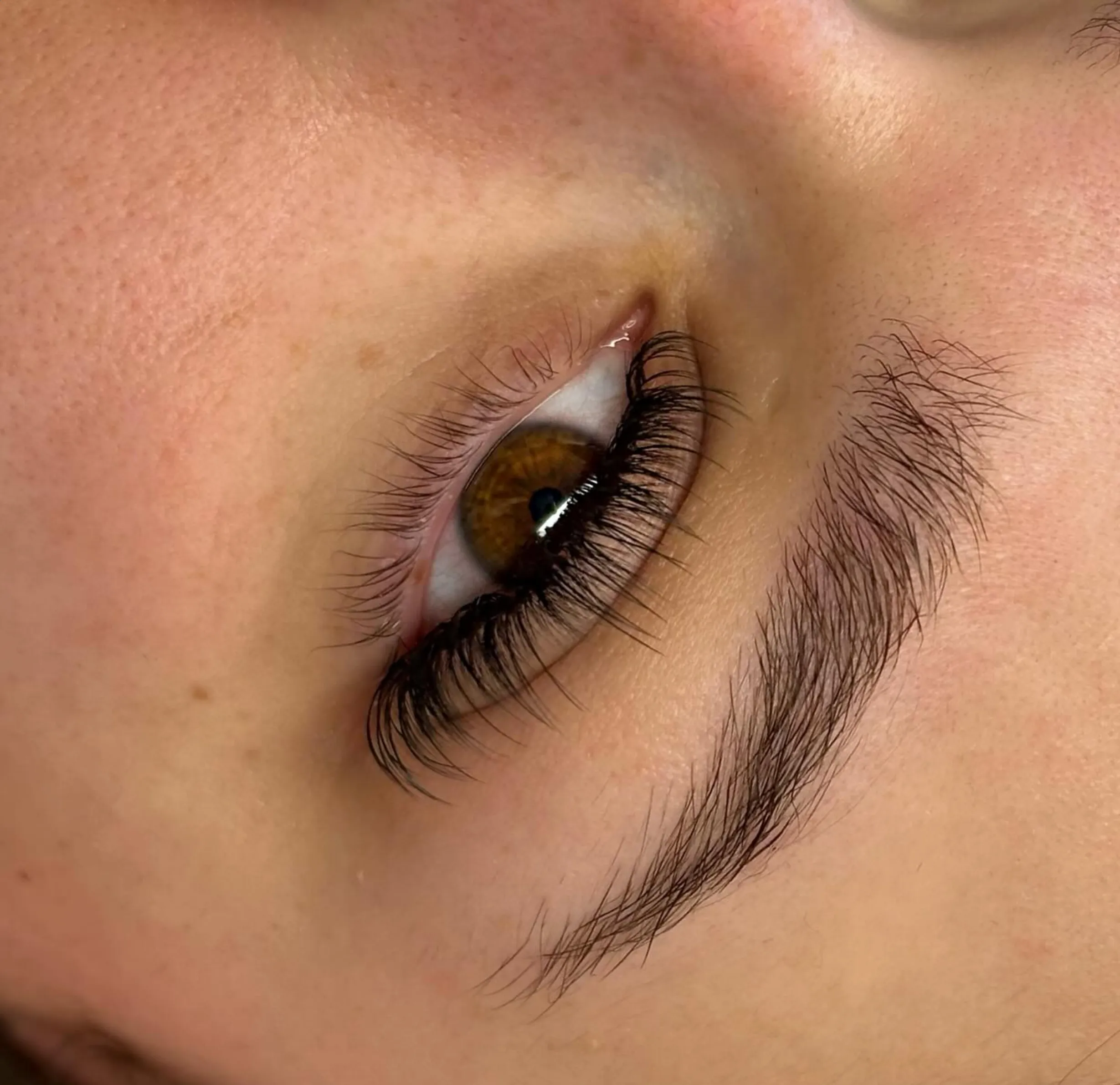 how often to get lash refills