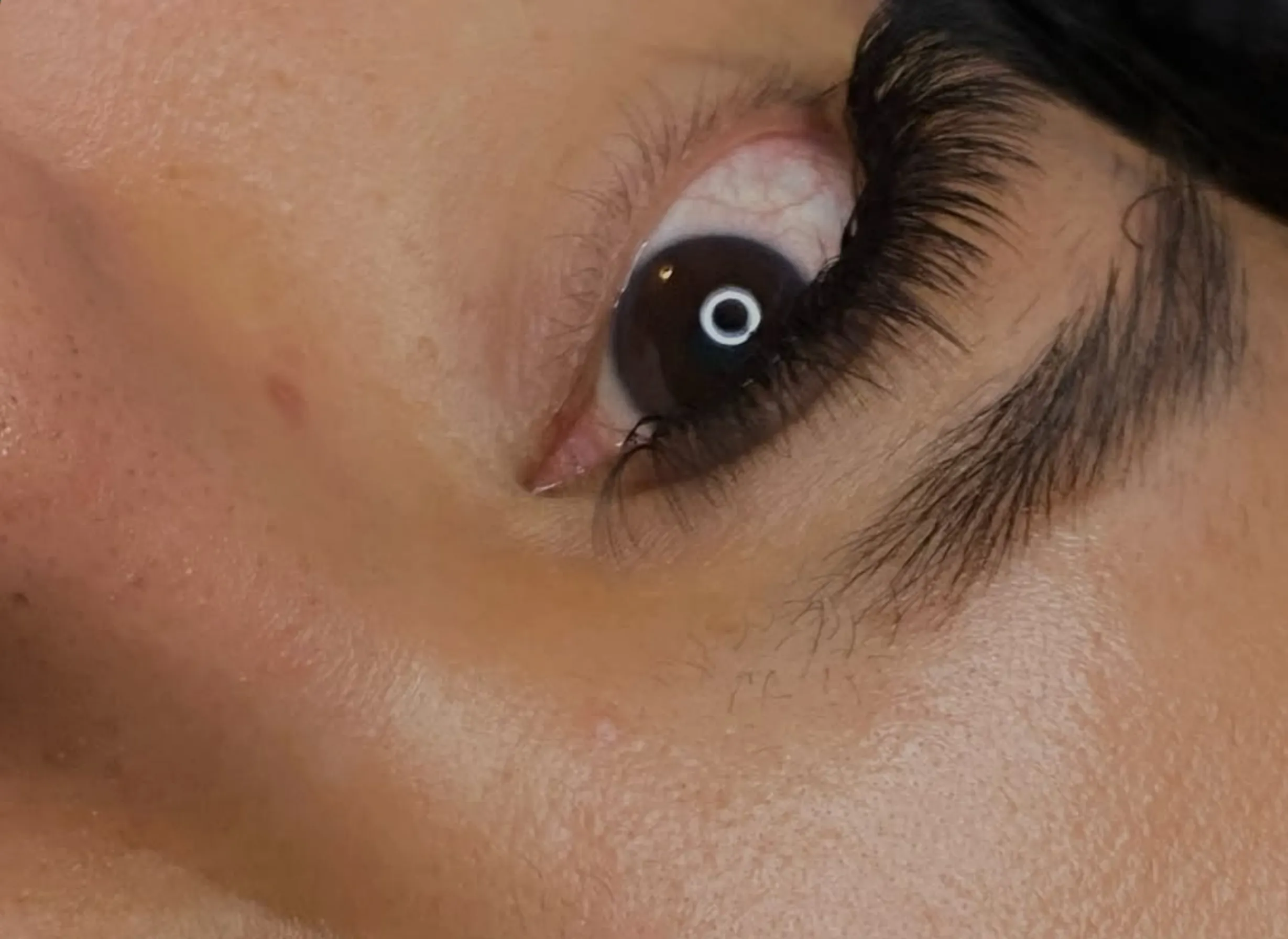 lash maintenance schedule
